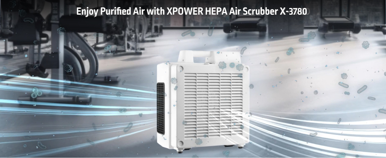 Amazon.com: Xpower X-3780 HEPA Air Purifier & Scrubber for Home